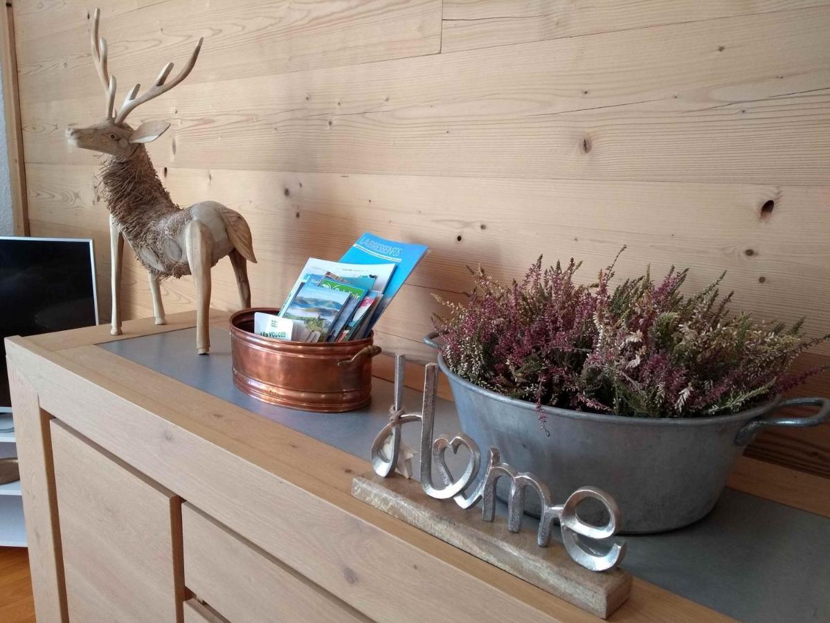 Cosy Appartement La Bresse Centre Ville Εξωτερικό φωτογραφία